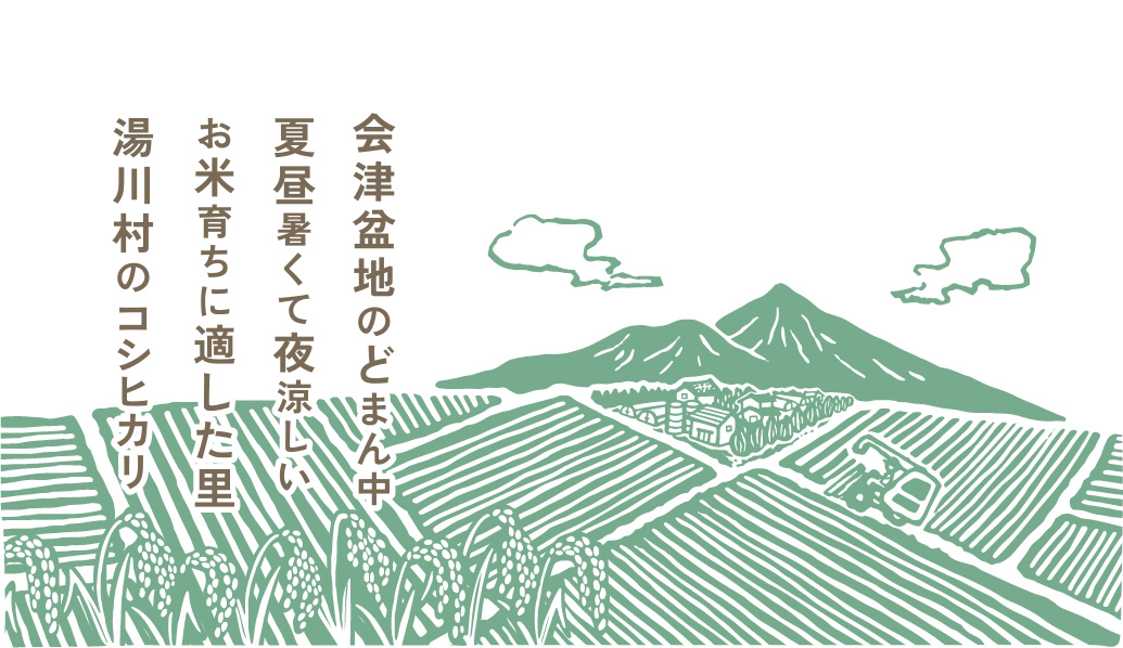 会津盆地のどまん中夏昼暑くて夜涼しいお米育ちに適した里湯川村のコシヒカリ