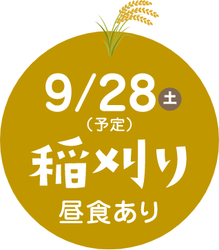 9月28日（土）（予定）稲刈り